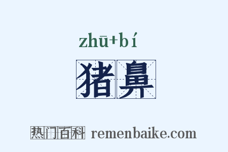猪鼻是什么意思的图片